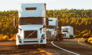 cargo monitoring for trucks sensoneo