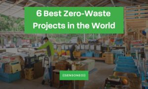 best zero waste projects in the world