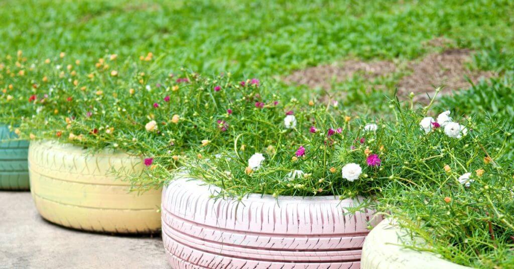 Tires which were reused as a flower pot.