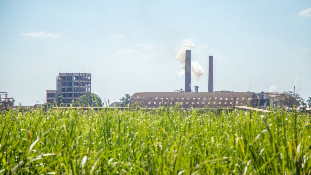 Production factory in the background of green grass.