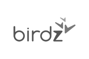 Logo of Birdz company