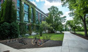 A slightly overgrown university with a bicycle rack in front, featuring a path surrounded by trees and yard.