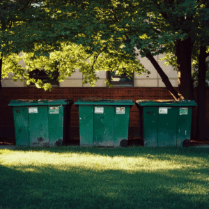 Green outdoor waste bins lined up under leafy trees in a sunny yard.