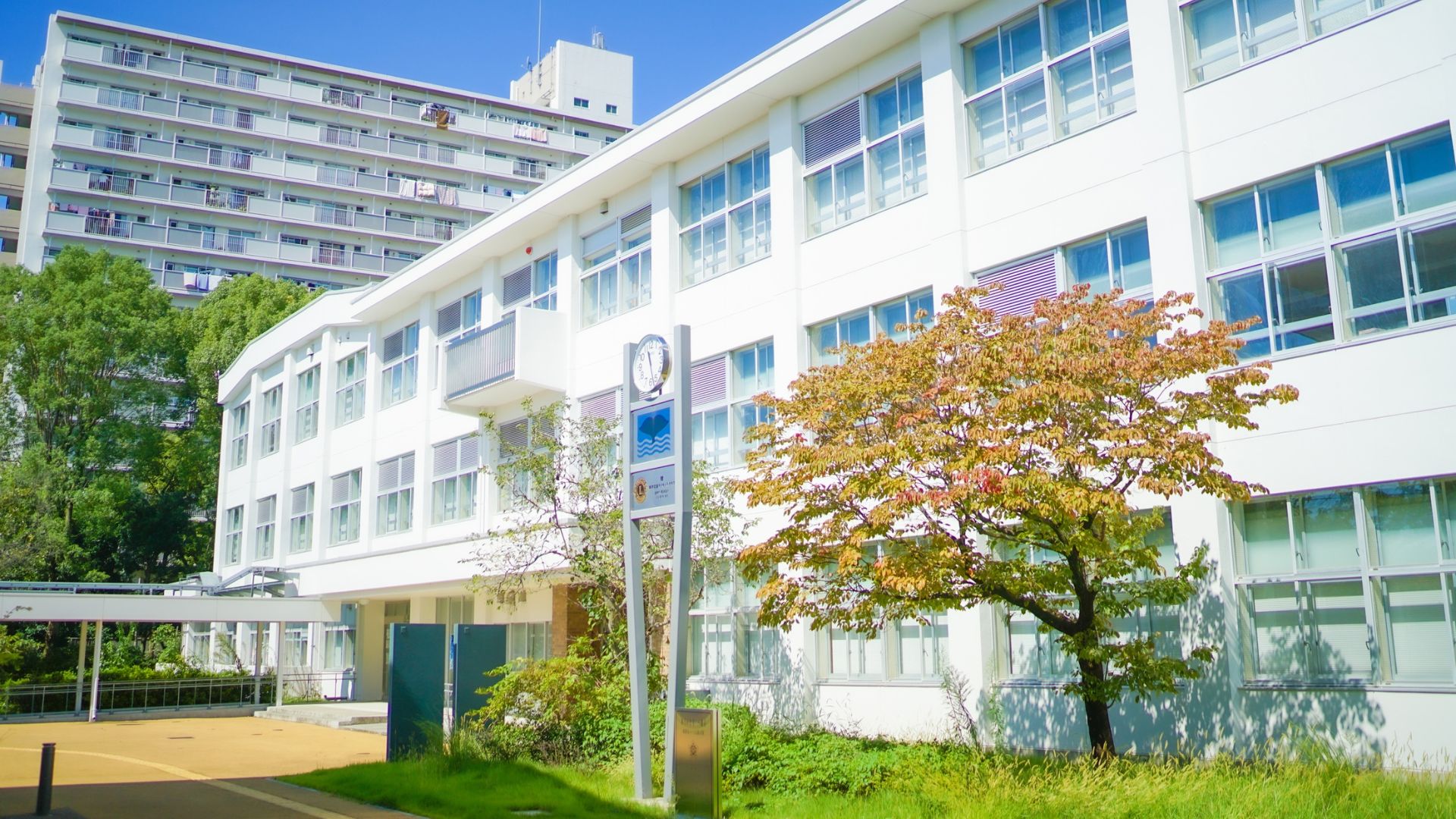 Clean university building with trees.