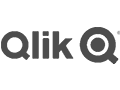 qlik logo